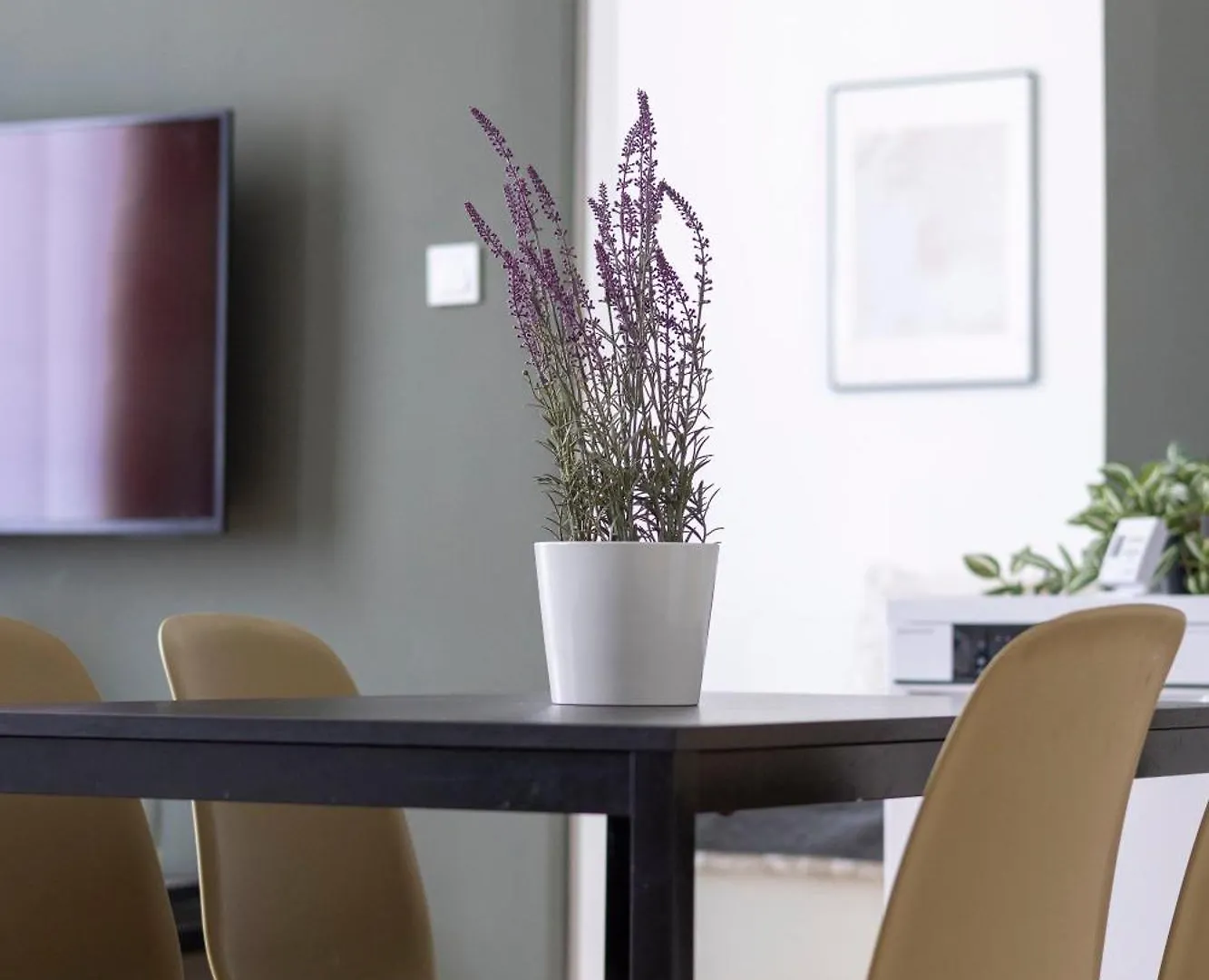 Charming & Cozy Central Elizabeth Apartment Budapest